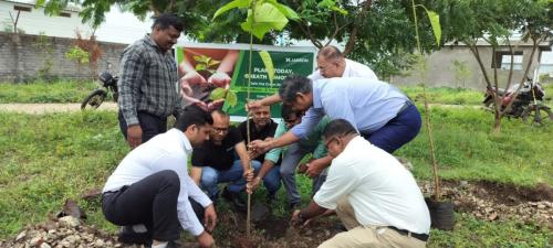 Tree-Plantation-2