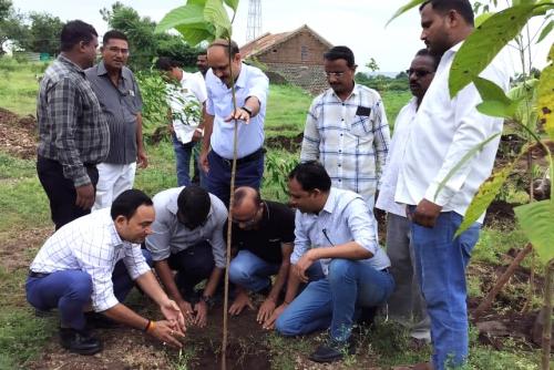 Tree-Plantation-4